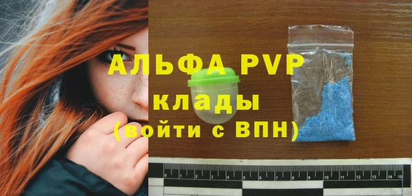 дурь Дмитриев