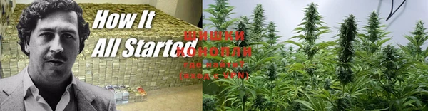 меф Дмитров