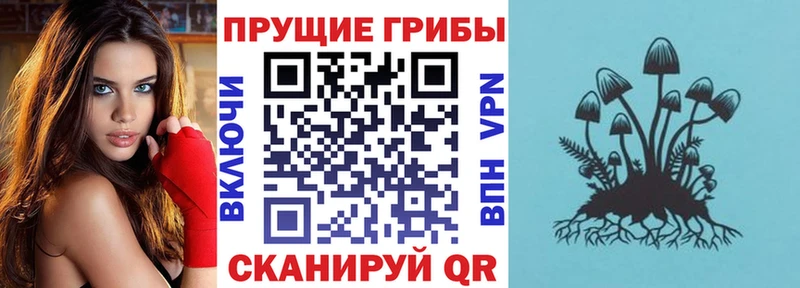 Псилоцибиновые грибы Magic Shrooms  наркошоп  Инсар 